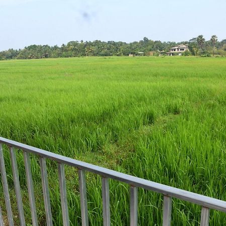 Meegahapokuna Resort Anuradhapura Exterior foto