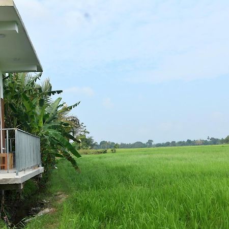 Meegahapokuna Resort Anuradhapura Exterior foto